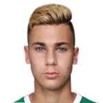 Dominik Yankov